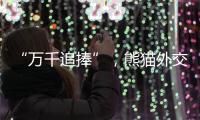 “万千追捧”，熊猫外交背后
