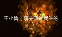王小鲁：事关国计民生的重大问题，我就想去碰一碰丨不惑 2024