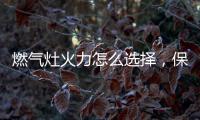 燃气灶火力怎么选择，保留营养还成就美味!