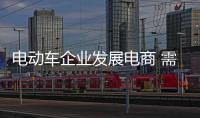电动车企业发展电商 需注重线上线下渠道的结合