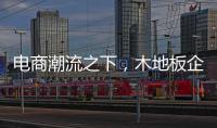 电商潮流之下
，木地板企业需要创新与变革
