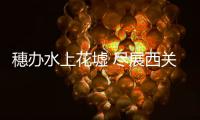 穗办水上花墟 尽展西关风情