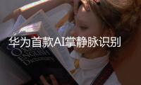 华为首款AI掌静脉识别智能门锁发布 起售价2499元