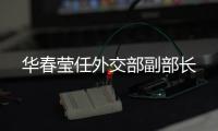 华春莹任外交部副部长