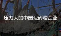压力大的中国瓷砖胶企业改革需明确方向