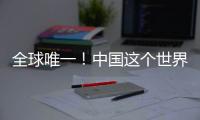 全球唯一
！中国这个世界遗产研究机构十岁了