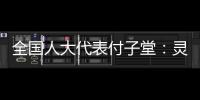 全国人大代表付子堂：灵活就业人群个税不应“一刀切”