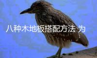 八种木地板搭配方法 为你打造丰富的地面色彩