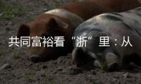 共同富裕看“浙”里：从脱贫到共富 “浙”里有一份秘笈待领取