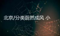 北京/分类蔚然成风 小童监督执行