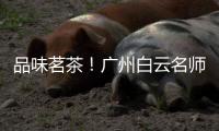 品味茗茶！广州白云名师大讲堂带市民欣赏中华茶文化之美