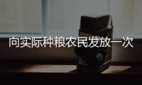 向实际种粮农民发放一次性补贴