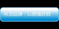 吊顶品牌：以颜值获胜 以品质为王