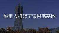 城里人打起了农村宅基地的“歪主意”，根源何在
？