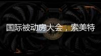 国际被动房大会
	�，索美特阳光房精彩纷呈