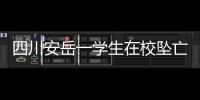 四川安岳一学生在校坠亡
	，官方通报