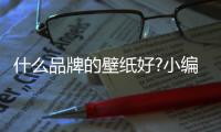 什么品牌的壁纸好?小编推荐十个壁纸品牌