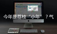 今年是荔枝“小年”？气候影响是主因