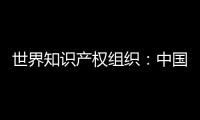 世界知识产权组织�
：中国是国际专利申请最大来源国
