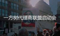 一方树代理商联盟启动会：展示健康艺术板材，引领家居市场新潮流
