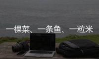一棵菜
、一条鱼、一粒米	：年轻人热衷务农的“乡村振兴密码”