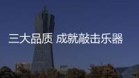 三大品质 成就敲击乐器列入“中国十大品牌”行业