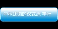中秋团圆的仪式感 丰叶板材为您承包