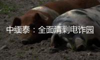 中缅泰：全面清剿电诈园区，全量抓捕涉诈人员