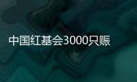 中国红基会3000只赈济家庭箱驰援云南、青海地震灾区
