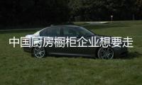 中国厨房橱柜企业想要走向世界 专业人士的看法是?