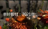 丰叶板材
：2021年，我们想要这样!