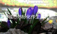 把城市地标化作生日礼物�！珠海	，生日快乐！