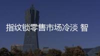 指纹锁零售市场冷淡 智能锁春天在哪里