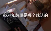 戴琳和韩鹏是哪个球队的球员