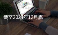 截至2024年12月底
，全国共有少先队员1.13亿名