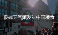 极端天气频发对中国粮食生产有何影响	�？