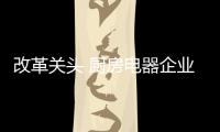 改革关头 厨房电器企业走独特发展路