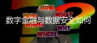 数字金融与数据安全如何兼得？｜2023新金融发展报告②