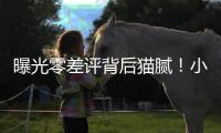曝光零差评背后猫腻！小红书
、闲鱼成水军接单重灾区