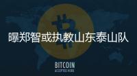 曝郑智或执教山东泰山队
，其实和郑智化执教没什么区别