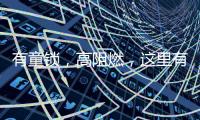 有童锁	，高阻燃，这里有更经济实用的安全插座