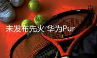 未发布先火 华为Pura 80系列预约人数突破10万