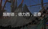施耐德�，德力西，正泰，西门子
，飞雕�，公牛
，哪个品牌好?