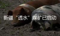 新疆“透水”煤矿已启动透水点封堵工作