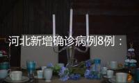 河北新增确诊病例8例
：石家庄市4例、辛集市4例