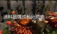 涂料品牌成长分两步：一是产品，二是营销