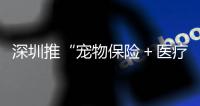 深圳推“宠物保险＋医疗”服务