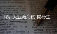 深圳大亚湾海试 揭秘生物“垂直迁徙”
