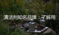 清洁剂知名品牌：了解用户需求 注重市场反馈