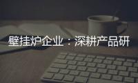 壁挂炉企业：深耕产品研发 把握消费需求